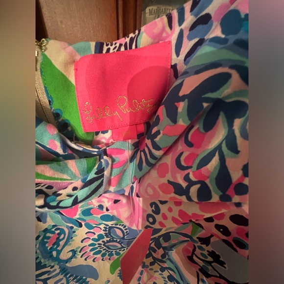 COPY - Lilly Pulitzer NWT Ambria Maxi Dress Size 16 - Picture 2 of 4